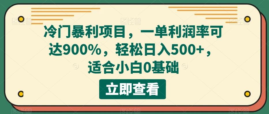 冷门暴利项目，一单利润率可达900%，轻松日入500+，适合小白0基础-E网资源