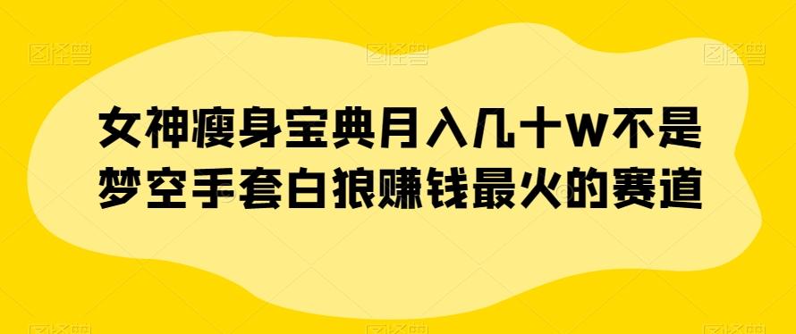 女神瘦身宝典月入几十W不是梦空手套白狼赚钱最火的赛道【揭秘】-E网资源