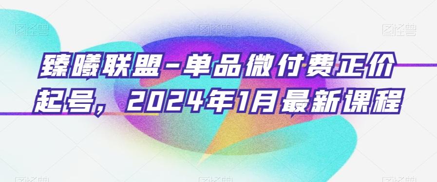 臻曦联盟-单品微付费正价起号，2024年1月最新课程-E网资源