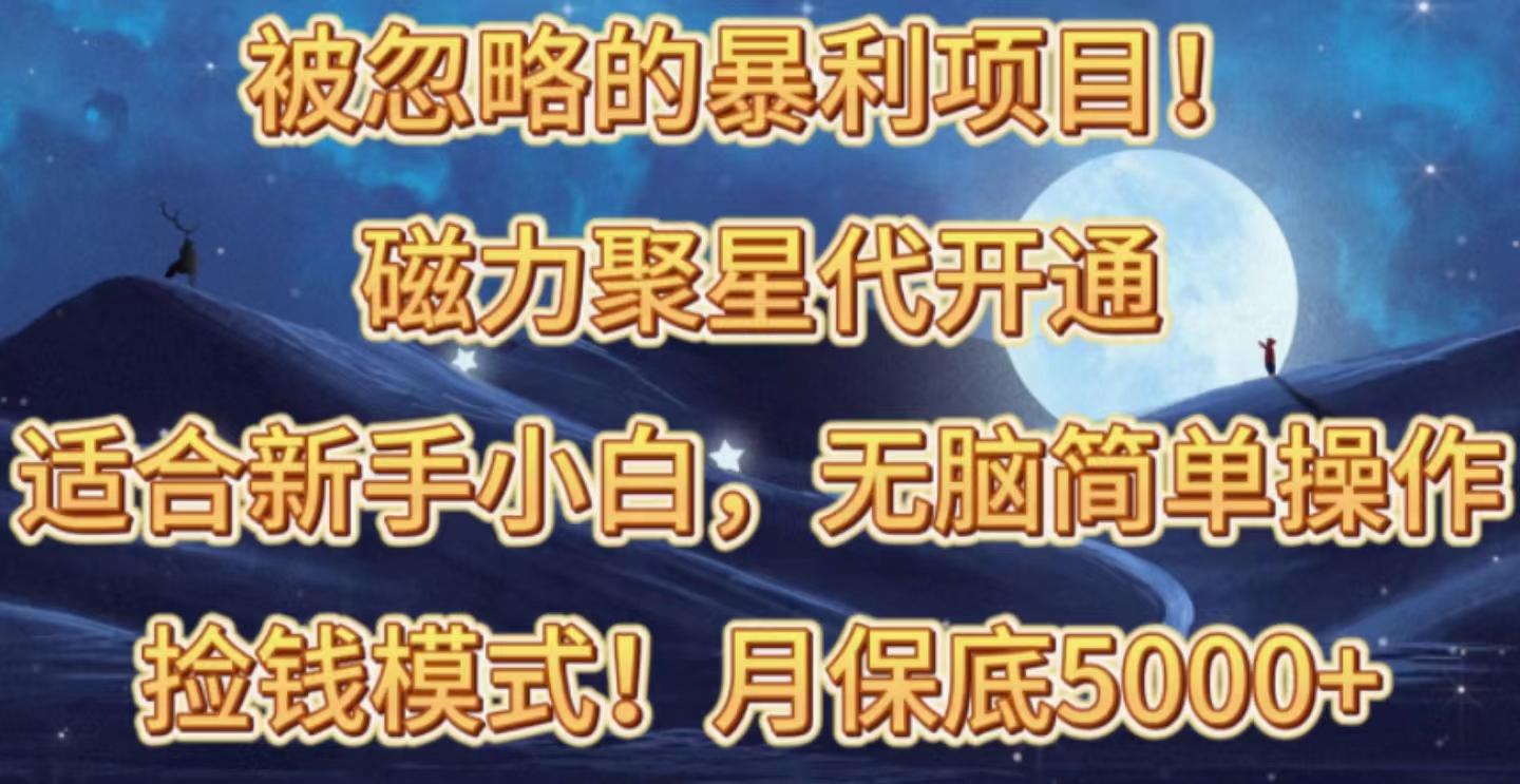 被忽略的暴利项目！磁力聚星代开通捡钱模式，轻松月入五六千-E网资源