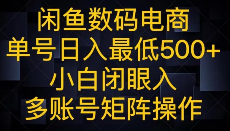 闲鱼数码电商，单号日入最低500+，小白闭眼入，多账号矩阵操作-E网资源