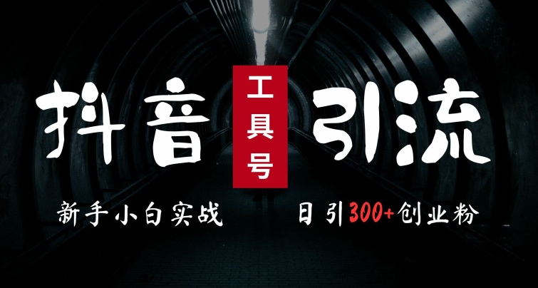 2024最新抖音工具号引流玩法，高效日引300+创业粉，当天变现5k，小白也可成为实战高手-E网资源