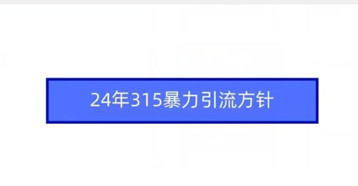 24年315暴力引流方针-E网资源