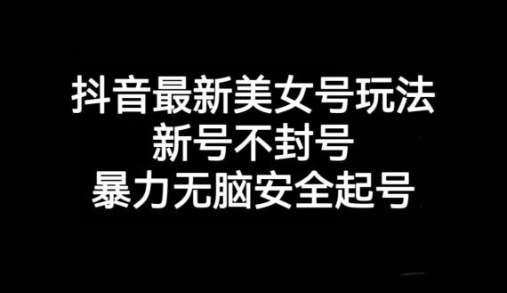抖音最新美女号玩法，新号不封号，暴力无脑安全起号【揭秘】-E网资源