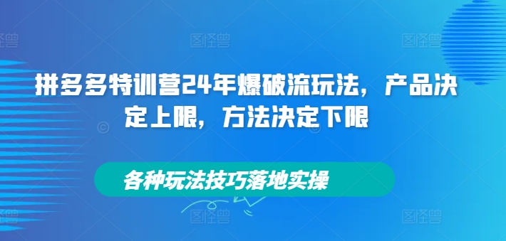 拼多多特训营24年爆破流玩法，产品决定上限，方法决定下限，各种玩法技巧落地实操-E网资源