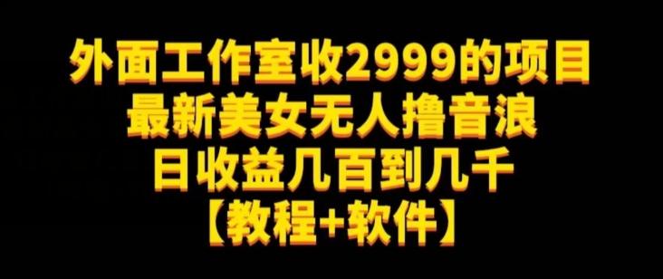 外面工作室收2999的项目最新美女无人撸音浪日收益几百到几千【教程+软件】（仅揭秘）-E网资源