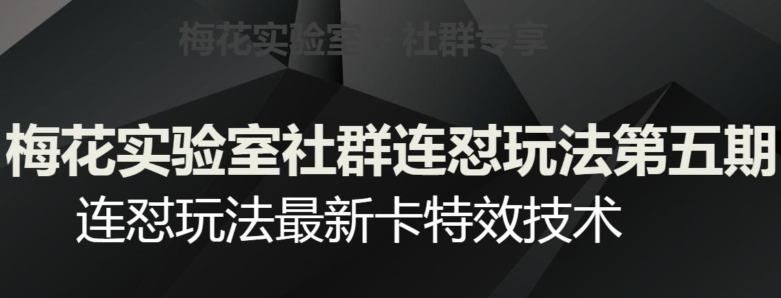 梅花实验室社群连怼玩法第五期，视频号连怼玩法最新卡特效技术-E网资源
