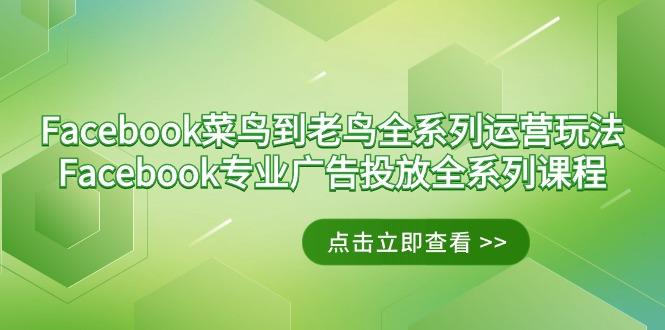 Facebook-菜鸟到老鸟全系列运营玩法+Facebook-专业广告投放全系列课程-E网资源