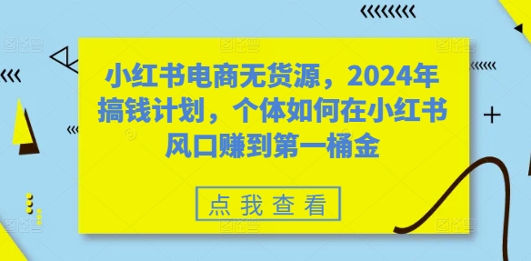 小红书电商无货源，2024年搞钱计划，个体如何在小红书风口赚到第一桶金-E网资源
