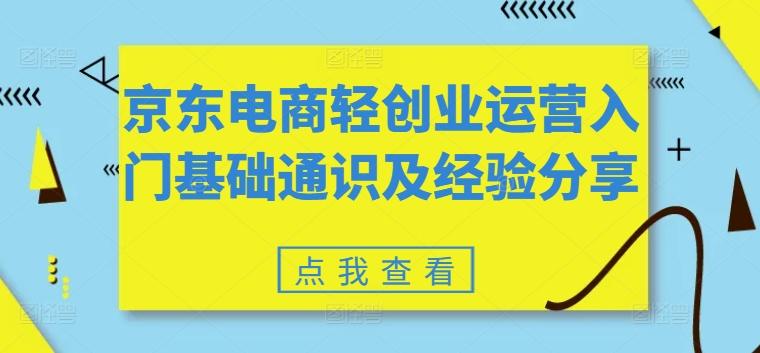 京东电商轻创业运营入门基础通识及经验分享-E网资源