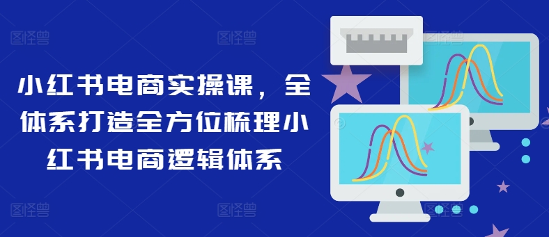 小红书电商实操课，全体系打造全方位梳理小红书电商逻辑体系-E网资源