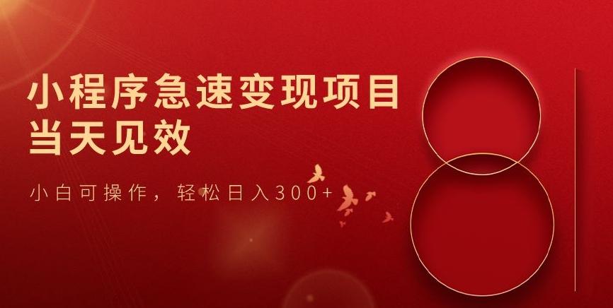 小程序急速变现项目，当天见效，小白可操作，轻松日入300+-E网资源