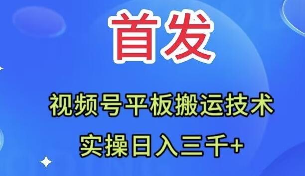 全网首发：视频号平板搬运技术，实操日入三千＋-E网资源