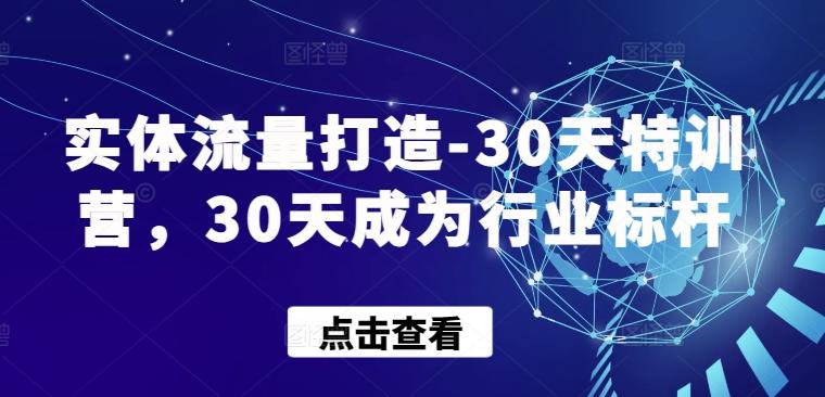 实体流量打造-30天特训营，30天成为行业标杆-E网资源