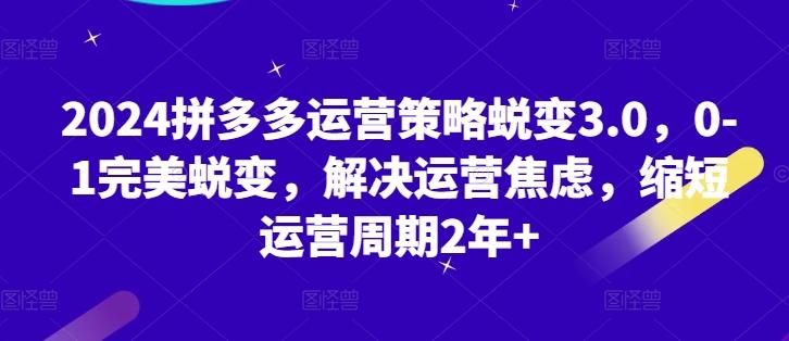 2024拼多多运营策略蜕变3.0，0-1完美蜕变，解决运营焦虑，缩短运营周期2年+-E网资源