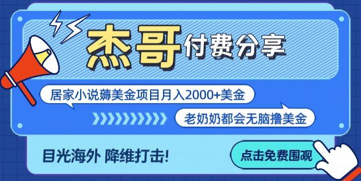 拆解海外撸美金项目月入2000美刀详细指导-E网资源