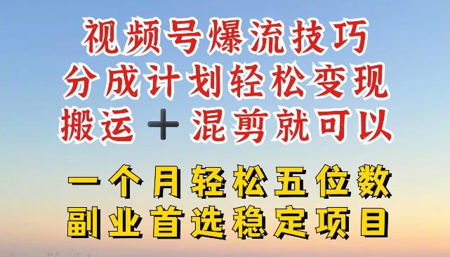 视频号爆流技巧，分成计划轻松变现，搬运 +混剪就可以，一个月轻松五位数稳定项目【揭秘】-E网资源