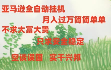 亚马逊全自动浏览挂机-E网资源
