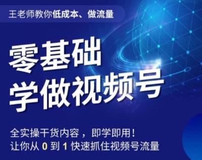 王老师教你低成本、做流量，零基础学做视频号，0-1快速抓住视频号流量-E网资源