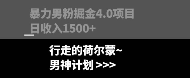 暴力男粉掘金4.0项目不违规不封号无脑复制单人操作日入1000+-E网资源