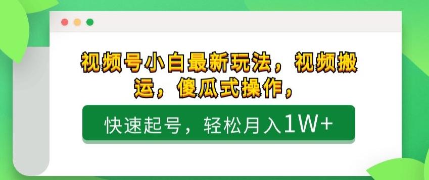 视频号小白最新玩法，视频搬运，傻瓜式操作，快速起号，轻松月入1W+-E网资源