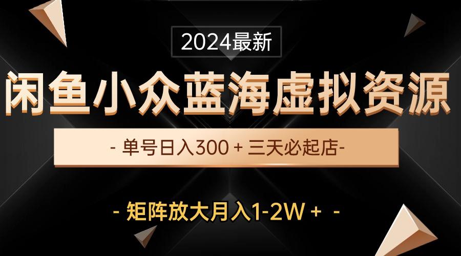 最新闲鱼小众蓝海虚拟资源，单号日入300＋，三天必起店，矩阵放大月入1-2W-E网资源
