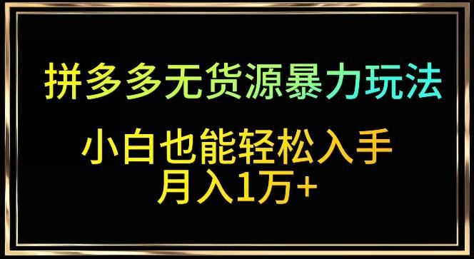 拼多多无货源暴力玩法，全程干货，小白也能轻松入手，月入1万+【揭秘】-E网资源