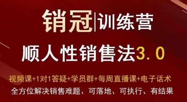 爆款！销冠训练营3.0之顺人性销售法，全方位解决销售难题、可落地、可执行、有结果-E网资源
