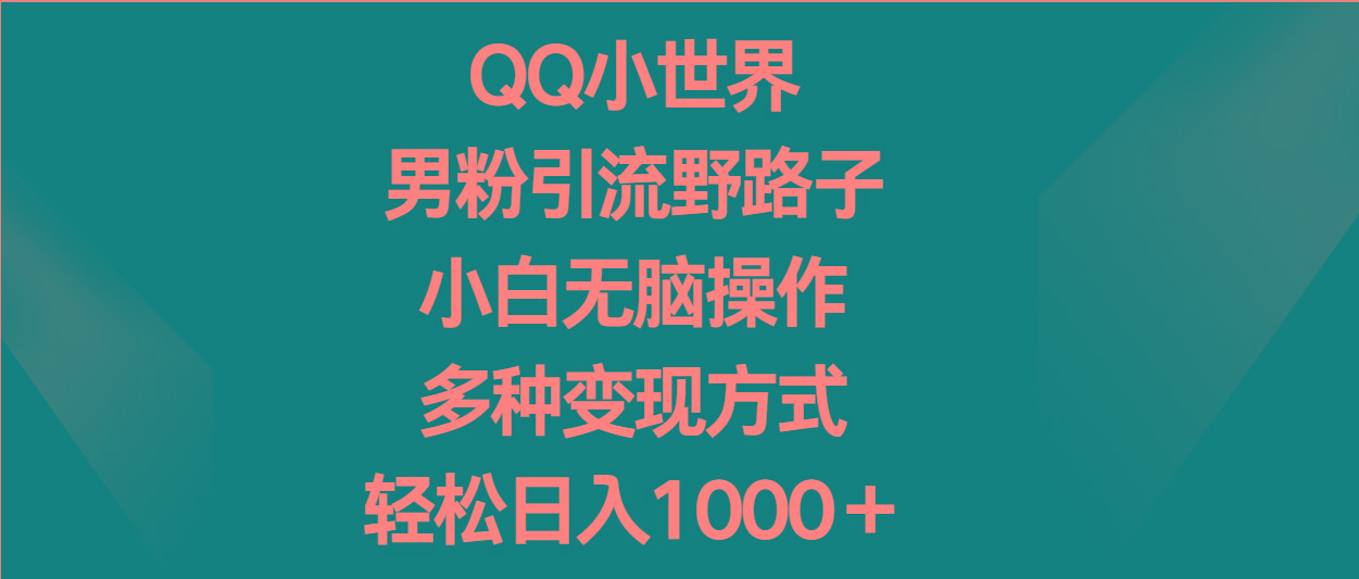 QQ小世界男粉引流野路子，小白无脑操作，多种变现方式轻松日入1000＋-E网资源