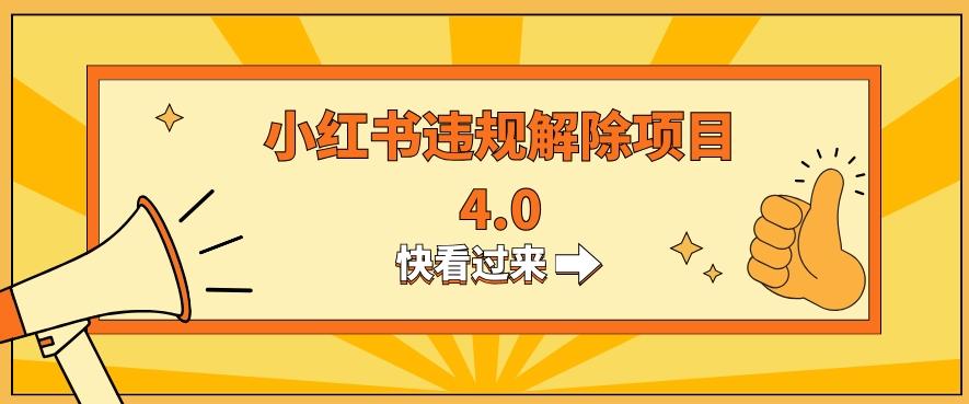 小红书违规掘金蓝海项目，日入800+（附带引流办法及解除办法）-E网资源