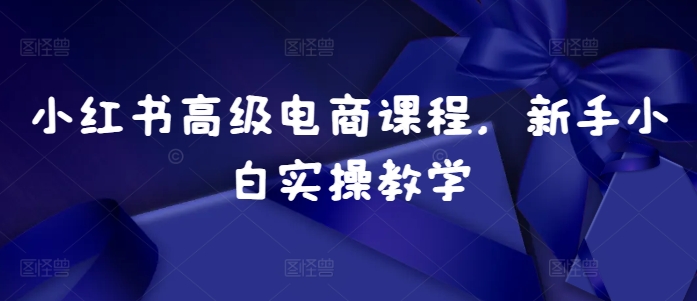 小红书高级电商课程，新手小白实操教学-E网资源