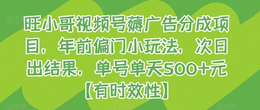 旺小哥视频号薅广告分成项目，年前偏门小玩法，次日出结果，单号单天500+元【有时效性】-E网资源