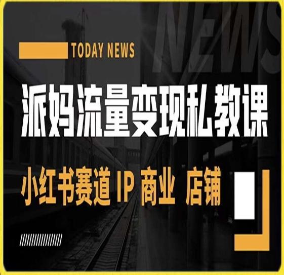 派妈流量变现私教课，小红书赛道IP  商业  店铺 -E网资源