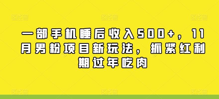 一部手机睡后收入500+，11月男粉项目新玩法，抓紧红利期过年吃肉-E网资源