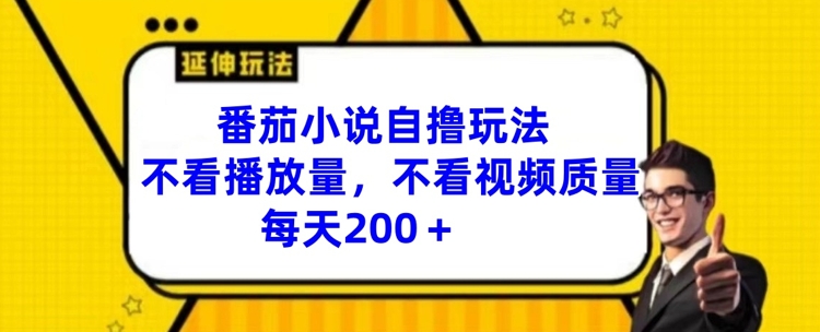 番茄小说自撸玩法，不看播放量，不看视频质量，每天200+【揭秘】-E网资源