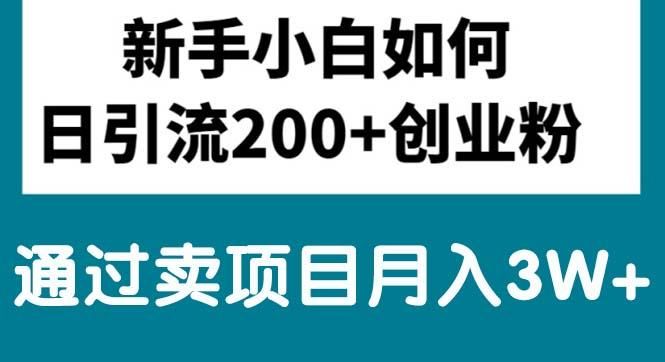 新手小白日引流200+创业粉,通过卖项目月入3W+-E网资源