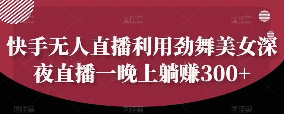 快手无人直播利用劲舞美女深夜直播一晚上躺赚300+-E网资源
