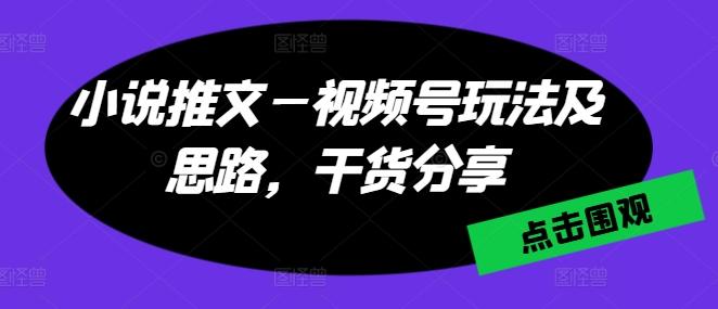 小说推文—视频号玩法及思路，干货分享-E网资源