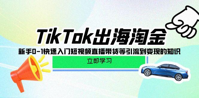 (10035期)TikTok-出海淘金，新手0-1快速入门短视频直播带货等引流到变现的知识-E网资源
