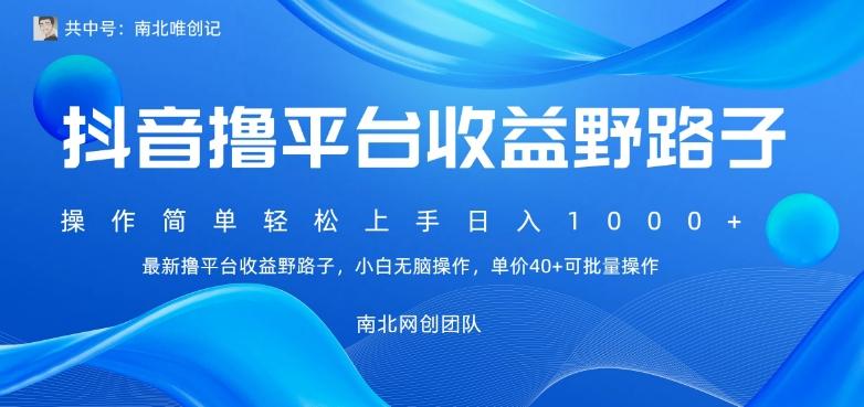 最新撸抖音平台收益野路子，操作简单，单价高，小白可无脑操作可日入1000+-E网资源