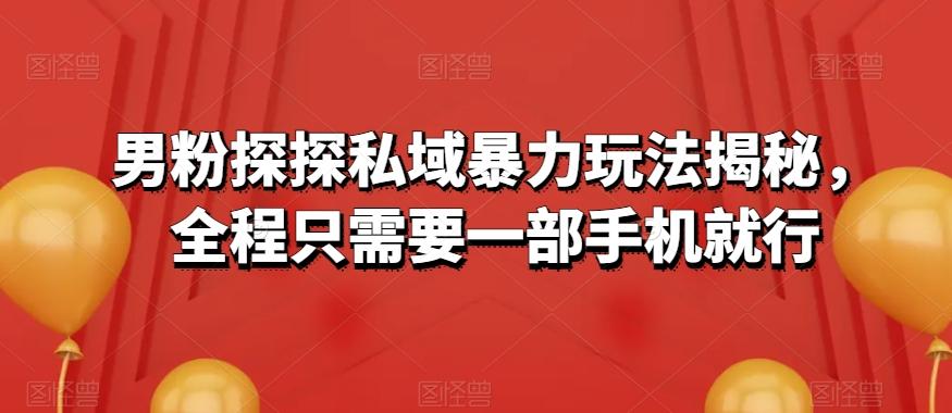 男粉探探私域暴力玩法揭秘，全程只需要一部手机就行-E网资源