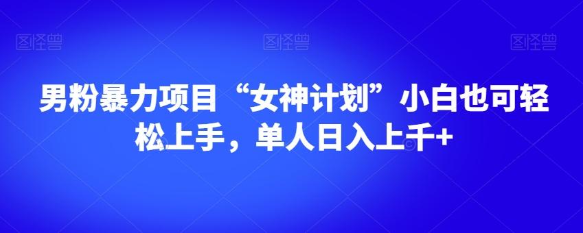 男粉暴力项目“女神计划”小白也可轻松上手，单人日入上千+【揭秘】-E网资源