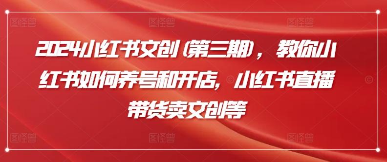 2024小红书文创(第三期)，教你小红书如何养号和开店，小红书直播带货卖文创等-E网资源