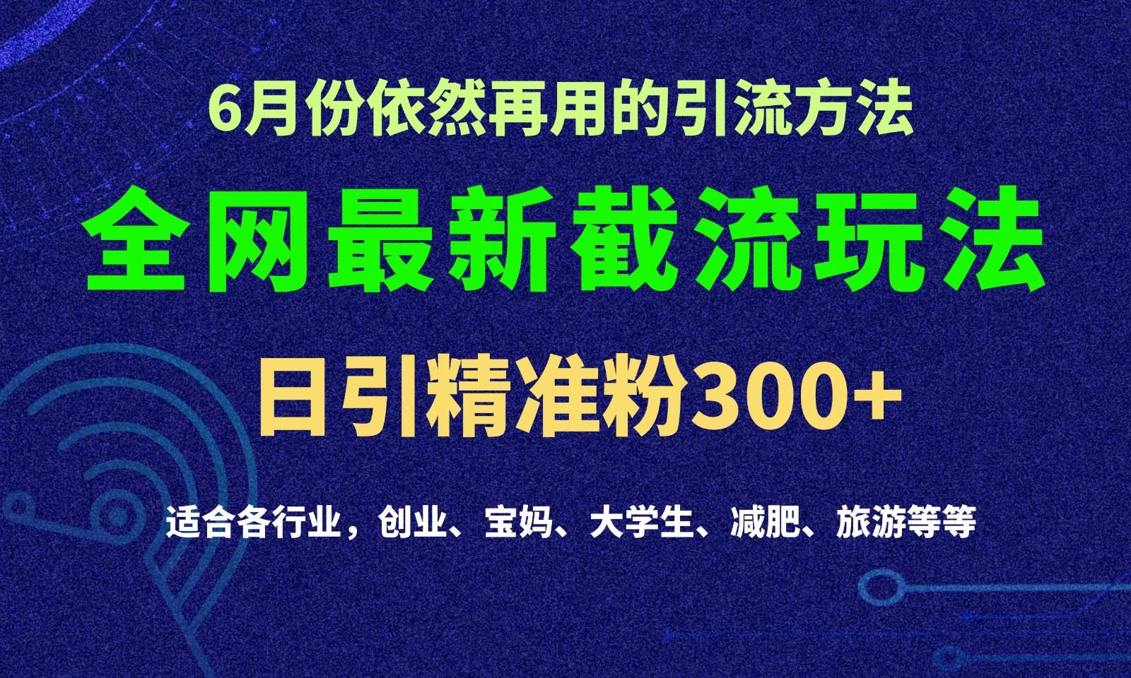 2024全网最新截留玩法，每日引流突破300+-E网资源