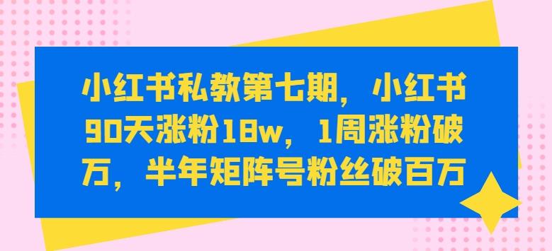 小红书私教第七期，小红书90天涨粉18w，1周涨粉破万，半年矩阵号粉丝破百万-E网资源