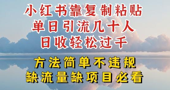 小红书靠复制粘贴单日引流几十人目收轻松过千，方法简单不违规【揭秘】-E网资源