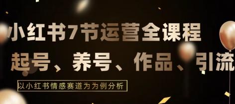 7节小红书运营实战全教程，结合最新情感赛道，打通小红书运营全流程【揭秘】-E网资源