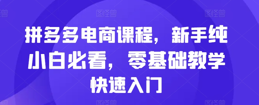 拼多多电商课程，新手纯小白必看，零基础教学快速入门-E网资源