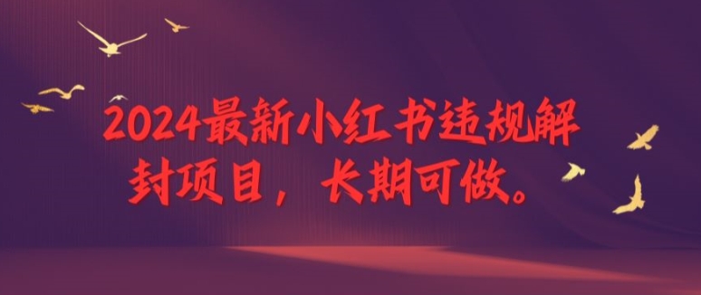 2024最新小红书违规解封项目，长期可做，一个可以做到退休的项目【揭秘】-E网资源