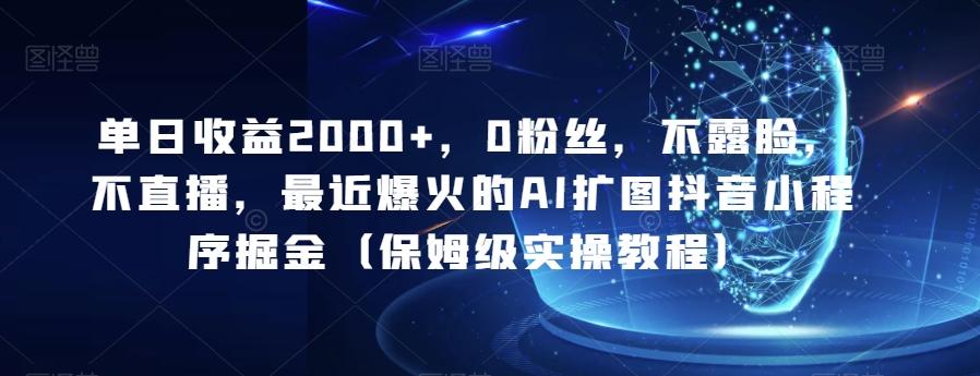 单日收益2000+，0粉丝，不露脸，不直播，最近爆火的AI扩图抖音小程序掘金（保姆级实操教程）-E网资源